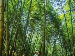 -乌石村