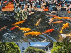 -聚福宝合苑食府(南头镇店)