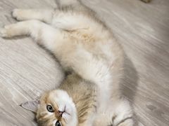 -美联众合24小时·皮肤科·外科·全科诊疗中心(华苑分院)