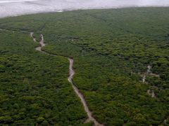 -北海金海湾红树林生态旅游区