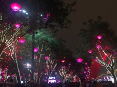 -大雁塔北广场音乐喷泉