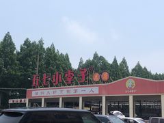 -五七小李子油焖大虾(总店)