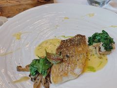 大西洋海鲈鱼-福楼法餐厅FLO