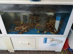 -真情鲍鱼海鲜汤