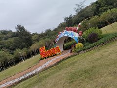 -野狸岛
