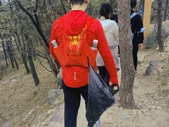 -北京鹫峰国家森林公园
