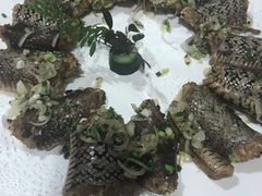 -陶缘一号·四季缘·老字号顺德菜·户外婚礼家宴(西滘店)