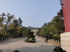 -府君山公园