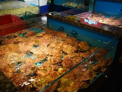 -拉完海鲜大排档(温岭店)