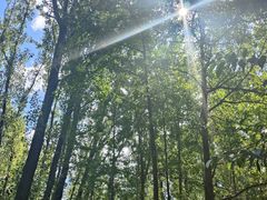 -上海城隍庙福佑门小商品批发市场