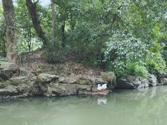 -兰亭风景区