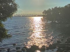 -宝安西湾红树林湿地公园