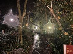 -青城道汤池
