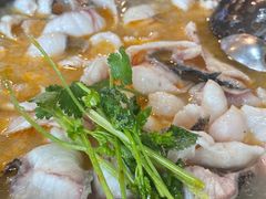 -大鼎石锅鱼(春江里店)