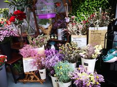 -何兮花店·气球派对鲜花店(马桥银春路万科城店)