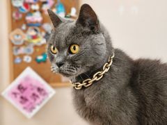 -觅时光手作·香薰·拼豆豆·陶艺DIY