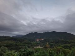-深圳仙湖植物园