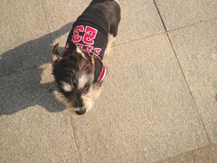 -FAELING PETS美天灵宠物(富力广场店)