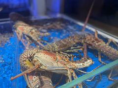 -徐记海鲜(曲江南湖店)