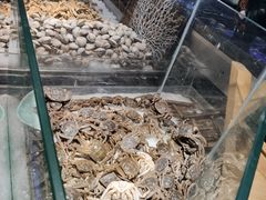-九寸花汀海鲜烤肉自助(中东迪克店)