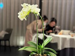 -蘇锦宴·淮扬菜烤鸭·小院(三元桥霄云路店)