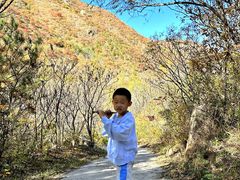 -云岫谷自然风景区