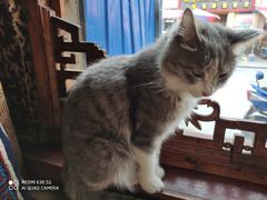 -嘎咓讓咘藏餐厅(团结新村店)