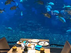 -海棠湾洲际-涛·海底餐厅·美人鱼·自助餐·海底隧道