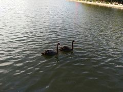 -长春世界雕塑园冰雪艺术天地