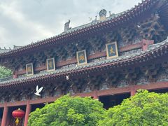 -洛阳白马寺