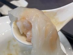 -东方御宴海鲜酒楼(棕泉酒店)
