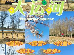 -坝河休闲公园