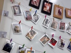 -瑞派康怡24h宠物医院·犬猫医疗中心·微创绝育(瑞景分院)