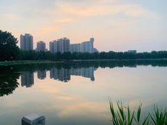 -莲花池公园