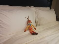 -深圳罗湖水贝IBC亚朵酒店