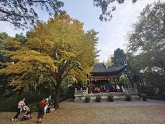 -汇龙潭