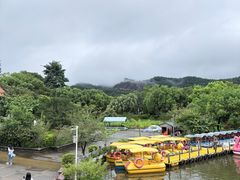 -大屏嶂森林公园