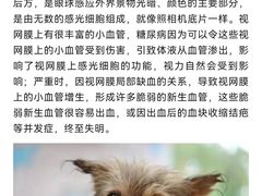 -瑞派申生动物医院·24H夜诊·国际动物医疗中心·骨外科(吴中路店)