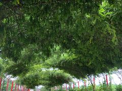-河北村民俗体验园