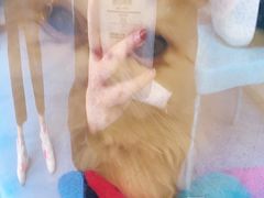 -佳怡动物医院·平价24小时·猫专科骨外科