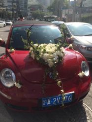 -畅步婚车(浦东店)