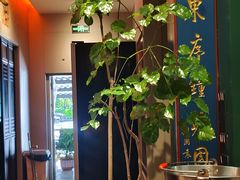 -福照楼汽锅鸡·云南菜(护国路店)