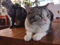 -小龙坎老火锅(北京三里屯店)