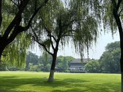 -柳浪闻莺公园
