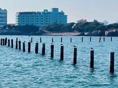 -青岛第二海水浴场