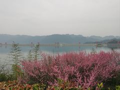 -屈原故里文化旅游区