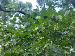 -长春市南湖公园