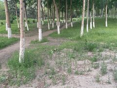 -万泉公园