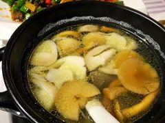 鸽子菌汤-琬苑鸽庄·川粤融合菜(解放碑总店)