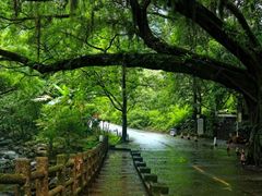 -广州市石门国家森林公园